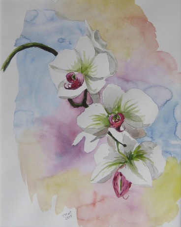 Orchidej - akvarel 40x50
