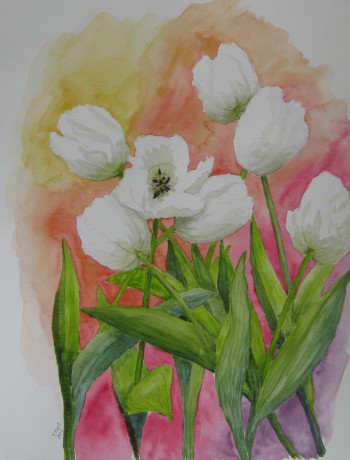 Bílé tulipány - akvarel 40x50